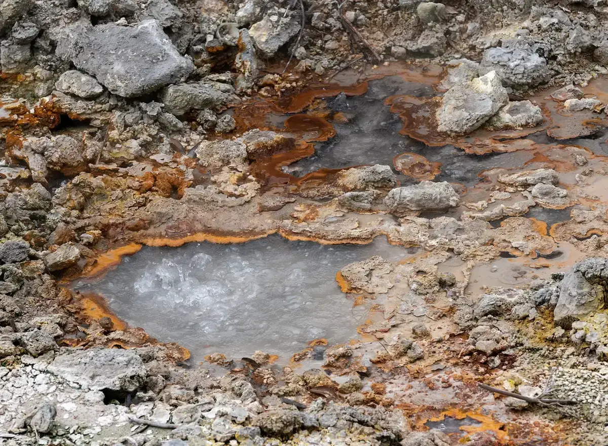 Varme kilder ved Caldeiras das Furnas på São Miguel