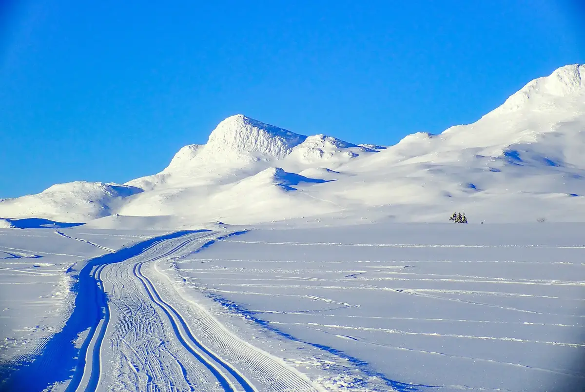 Langrennsløyper i solskinn i Tuddal, Telemark